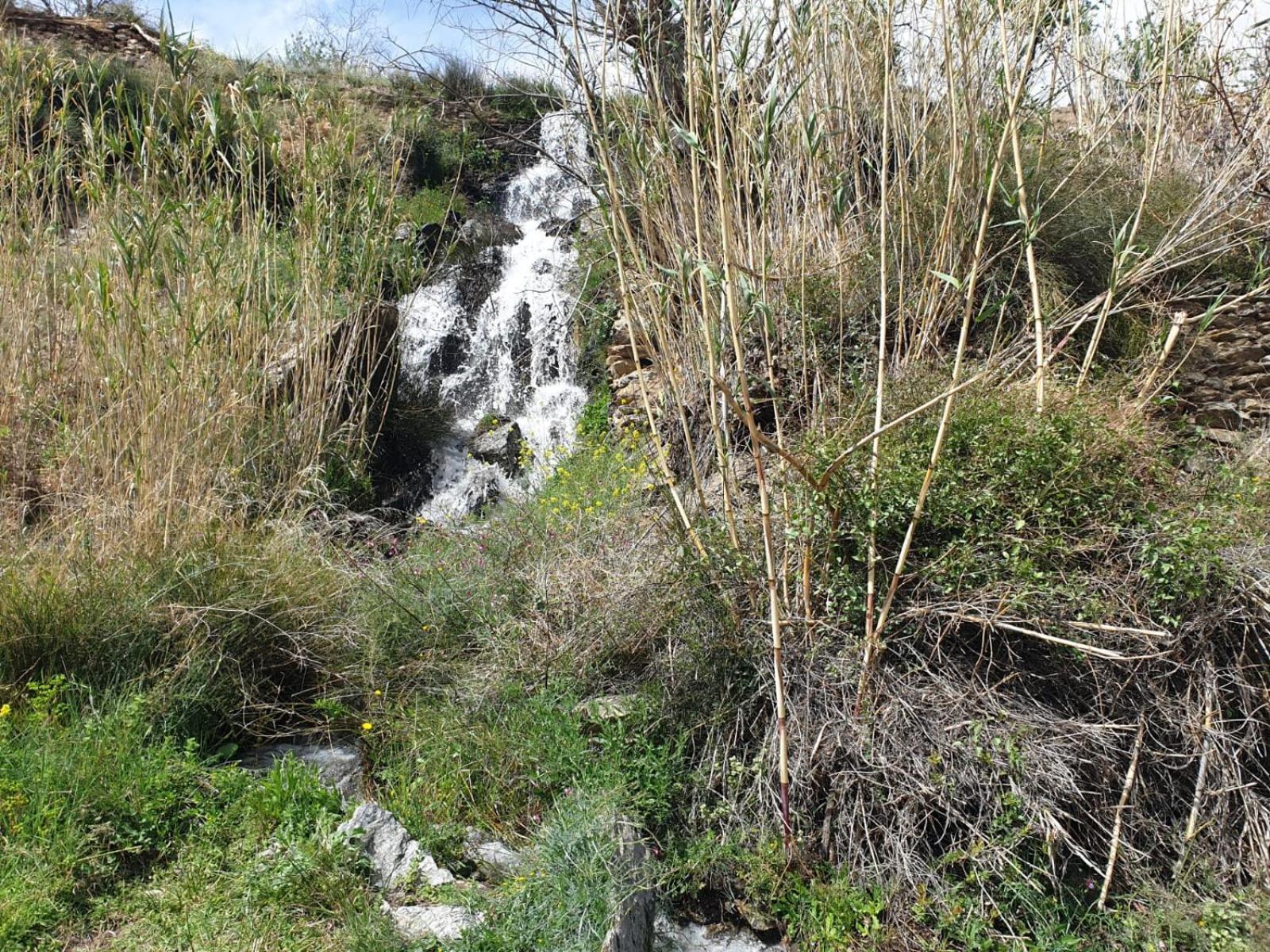 Casa Rural Serrano Abrucena Kültér fotó
